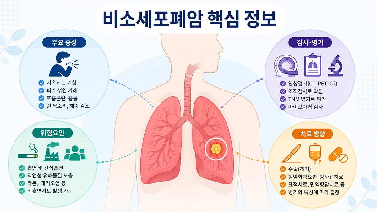 비소세포폐암 주요 증상과 위험요인, 검사 및 치료 방향을 보여주는 인포그래픽