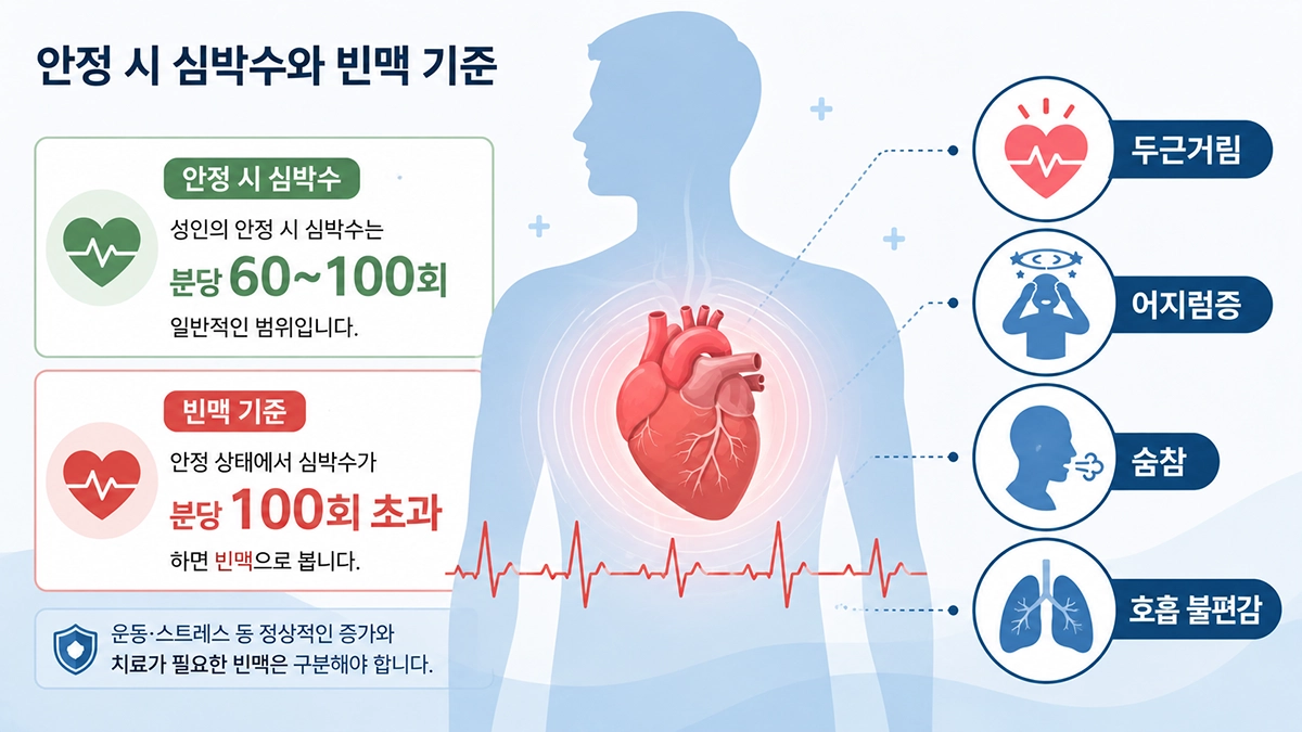 빈맥의 안정 시 심박수 100회 기준과 두근거림·어지럼증·숨참 증상을 보여주는 인포그래픽