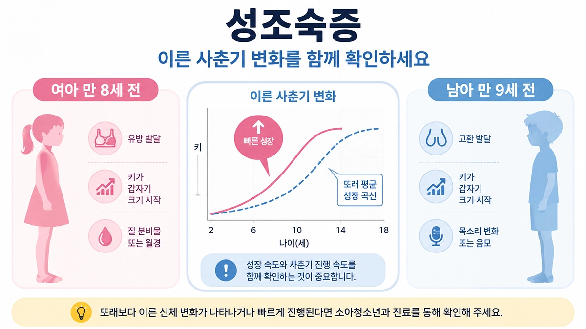 성조숙증에서 여아와 남아의 기준 연령과 이른 사춘기 변화를 설명한 인포그래픽