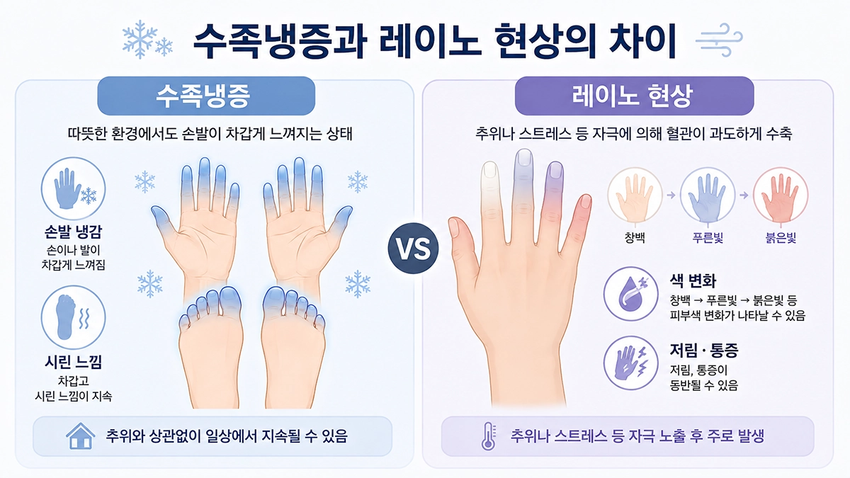 수족냉증과 레이노 현상의 손발 냉감 및 피부색 변화 차이 비교