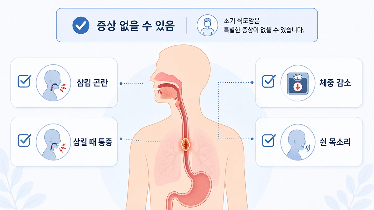 식도암에서 나타날 수 있는 삼킴 곤란과 체중 감소 등 주요 증상 인포그래픽