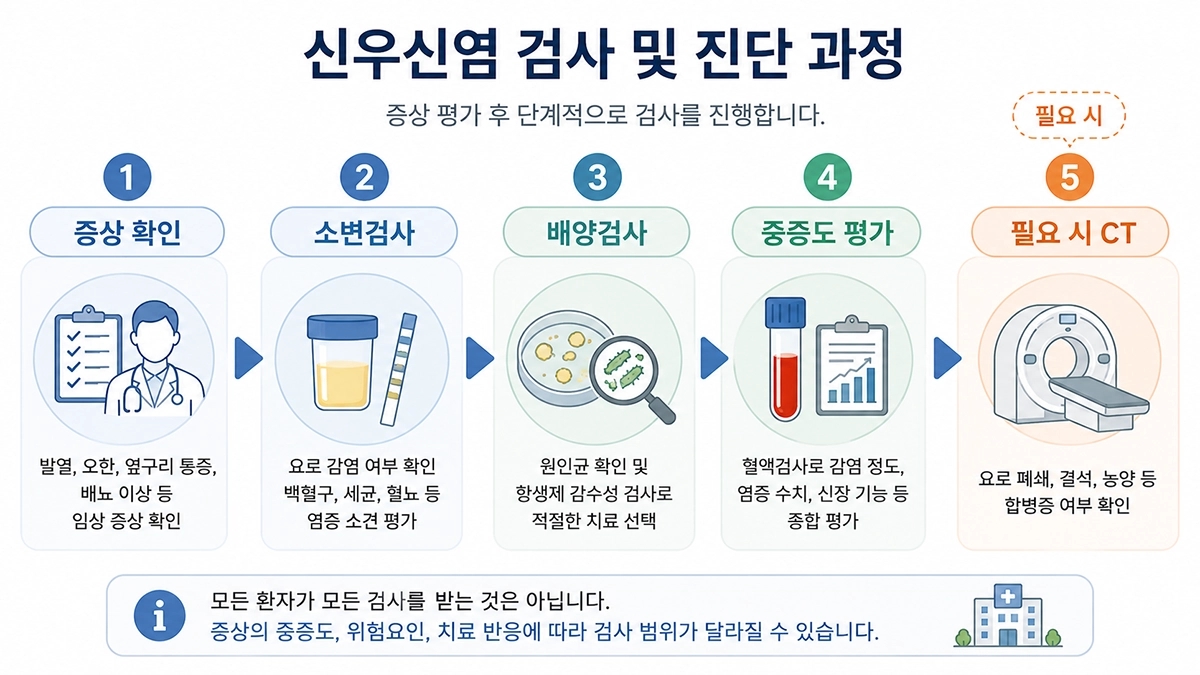신우신염 증상 확인부터 소변 배양검사와 CT까지의 진단 과정