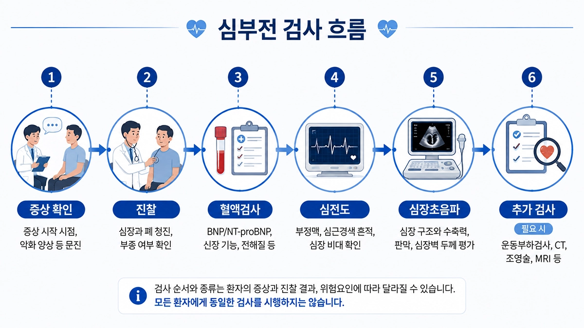 심부전 증상 확인 후 혈액검사와 심전도, 심장초음파로 이어지는 검사 과정 인포그래픽