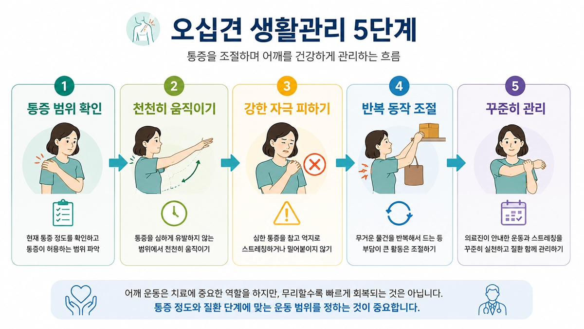 오십견 생활관리 시 통증 범위에 맞춰 어깨를 움직이는 방법을 정리한 단계형 인포그래픽