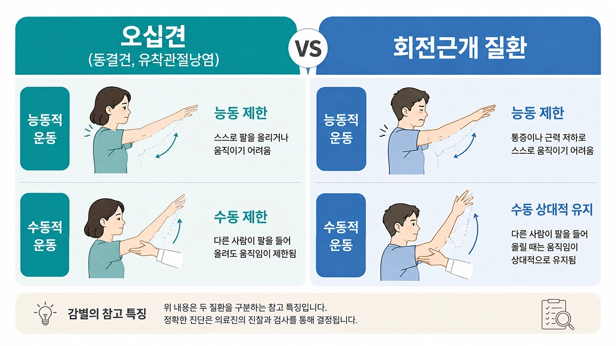 오십견과 회전근개 질환의 능동적·수동적 어깨 움직임 차이를 비교한 인포그래픽
