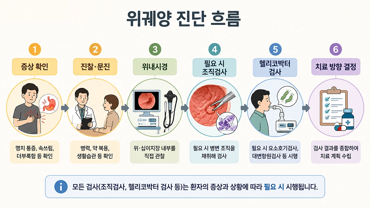 위궤양 진단을 위한 문진과 위내시경, 조직검사, 헬리코박터 검사의 진행 과정