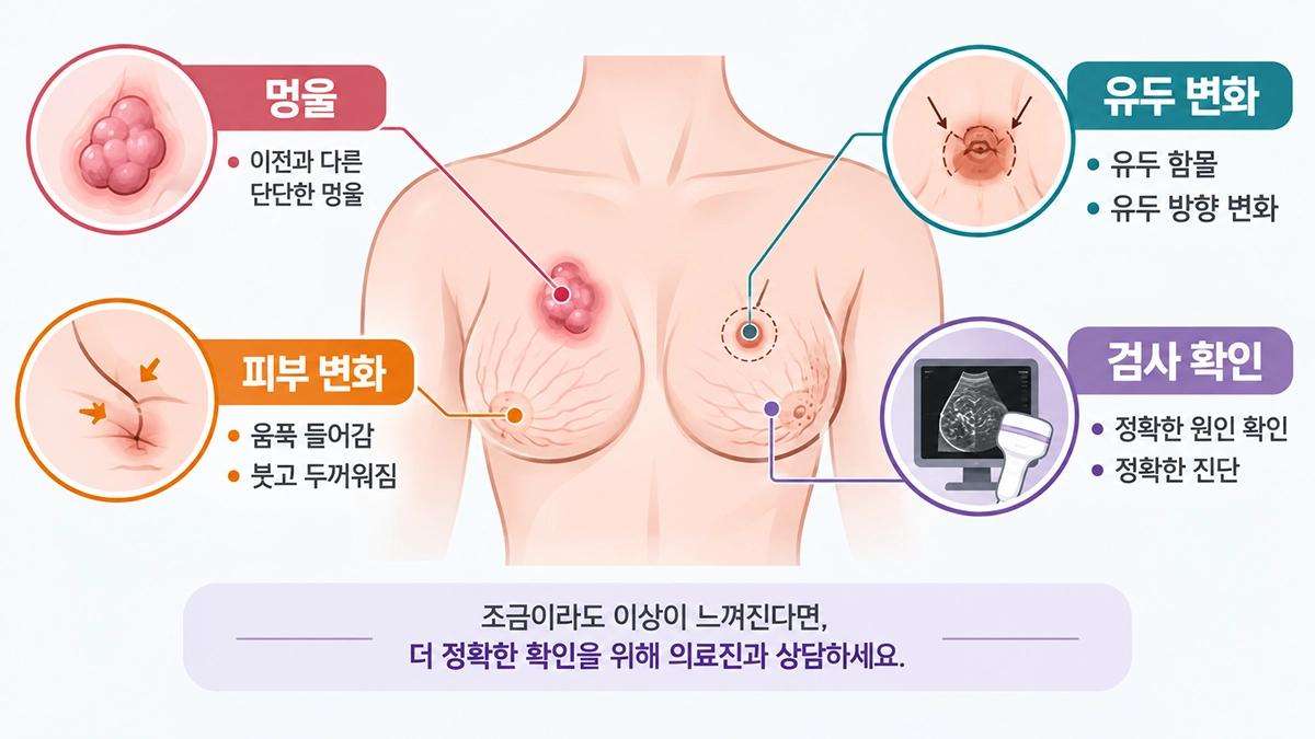 유방암 초기증상인 멍울과 유두·피부 변화를 보여주는 의료 인포그래픽