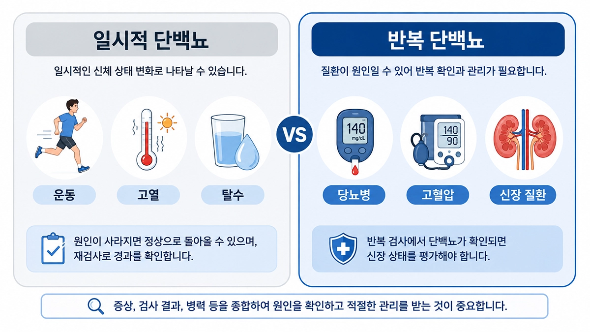 단백뇨의 일시적 원인과 반복되는 원인을 비교한 인포그래픽