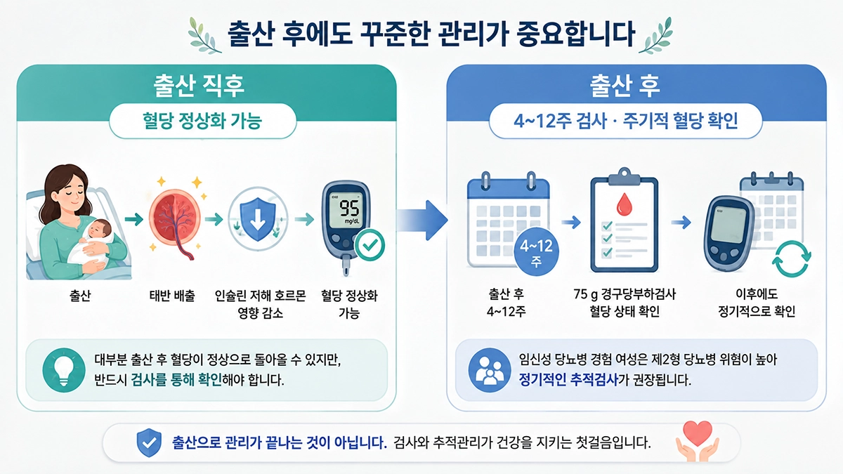 임신성 당뇨병 출산 후 혈당 변화와 4~12주 추적검사를 설명한 비교 인포그래픽