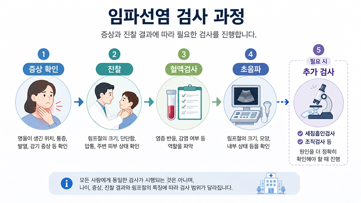 임파선염 검사 과정에서 시행할 수 있는 진찰과 혈액검사, 초음파, 추가 검사 흐름