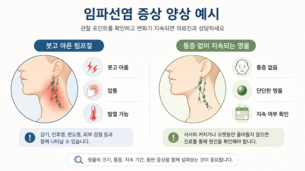 임파선염 증상으로 나타날 수 있는 압통과 발열, 통증 없는 림프절 멍울 비교