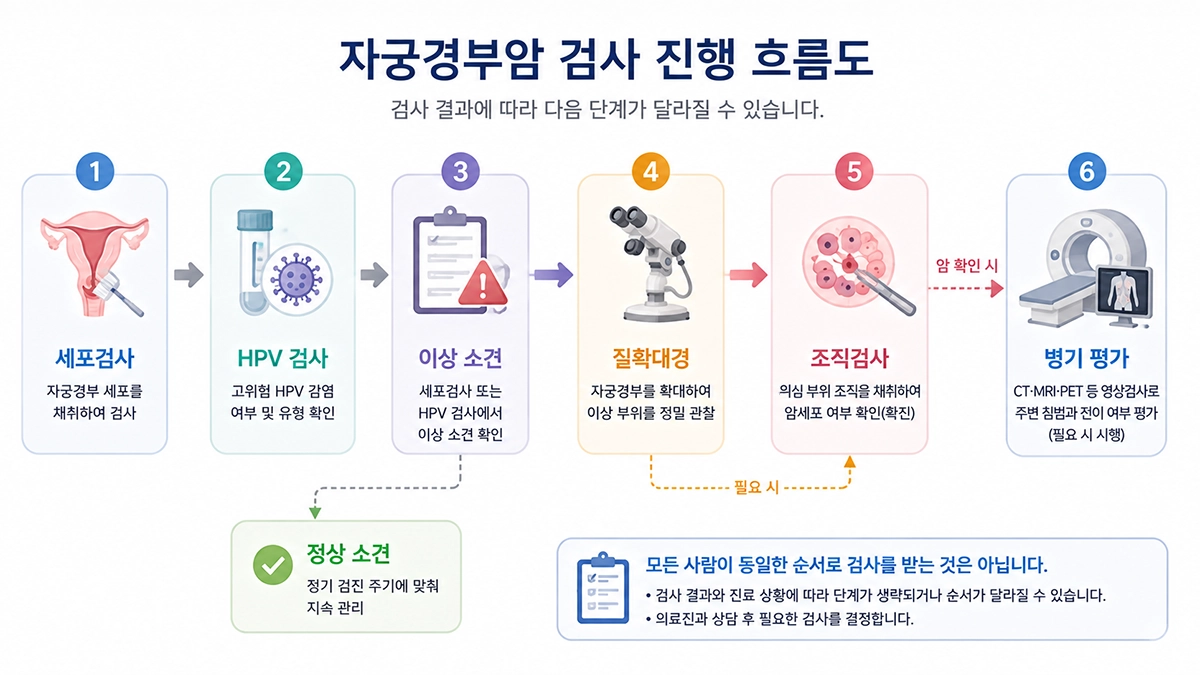 자궁경부암 초기증상 이후 시행할 수 있는 세포검사와 조직검사 과정 인포그래픽