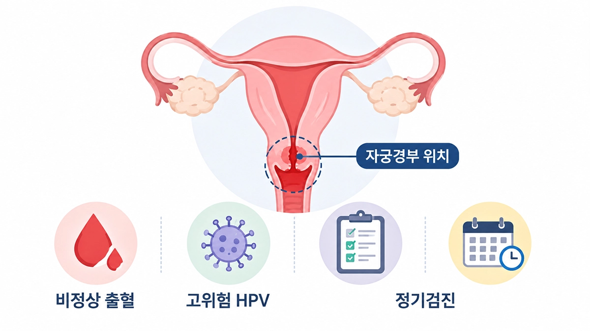 자궁경부암 초기증상과 HPV, 정기검진 핵심 정보를 보여주는 자궁경부 인포그래픽