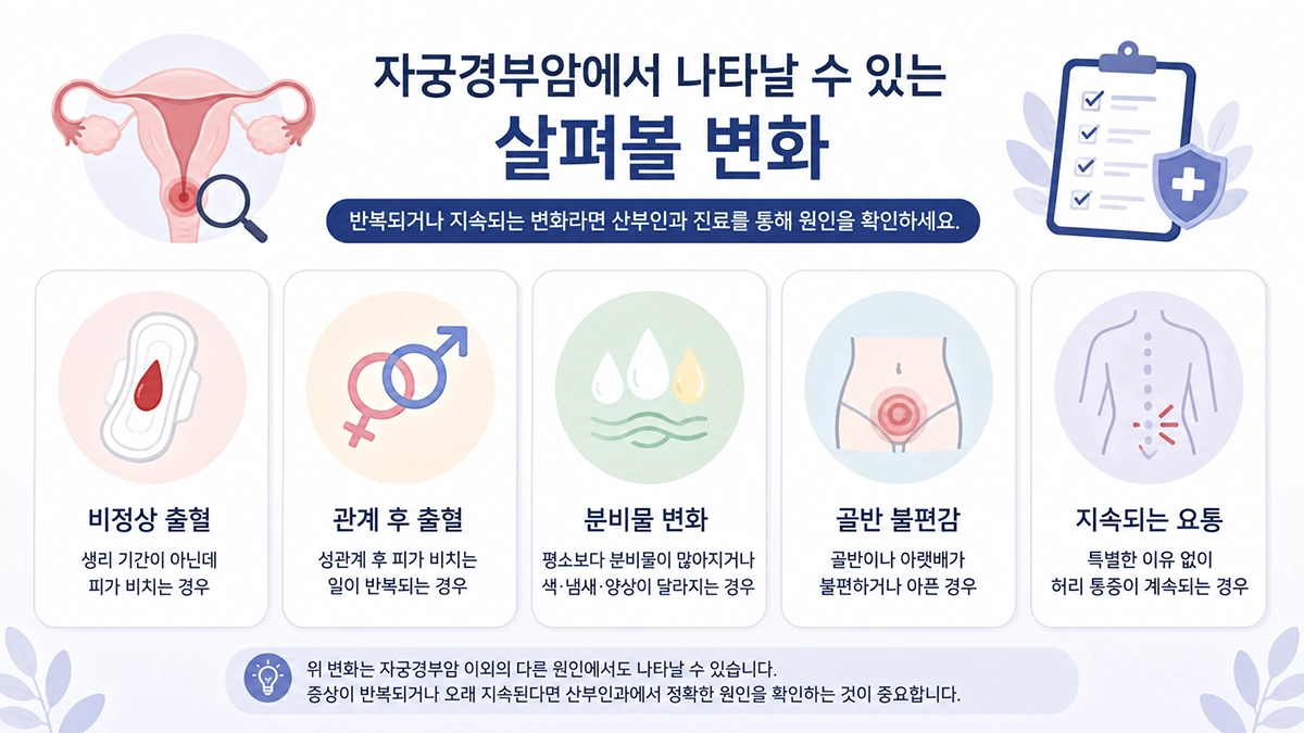 자궁경부암 초기증상으로 살펴볼 비정상 출혈과 질 분비물 변화 인포그래픽