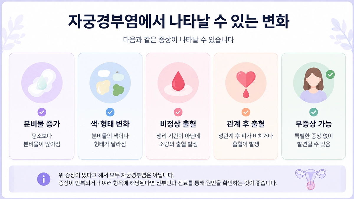 자궁경부염에서 나타날 수 있는 분비물 변화와 비정상 출혈 증상 인포그래픽