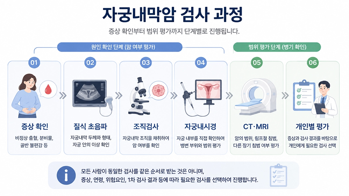 자궁내막암 검사에서 질식 초음파와 조직검사, CT MRI의 역할을 보여주는 단계형 인포그래픽
