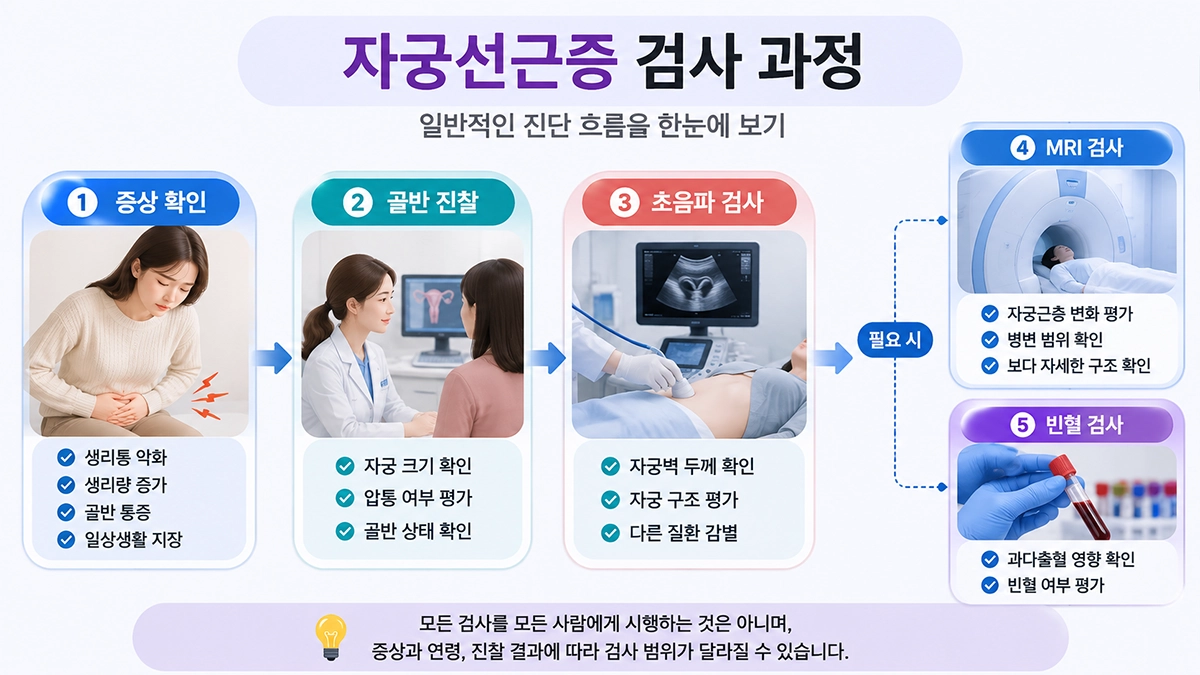 자궁선근증 진단 과정에서 증상 확인과 초음파 MRI 혈액검사 흐름을 보여주는 인포그래픽