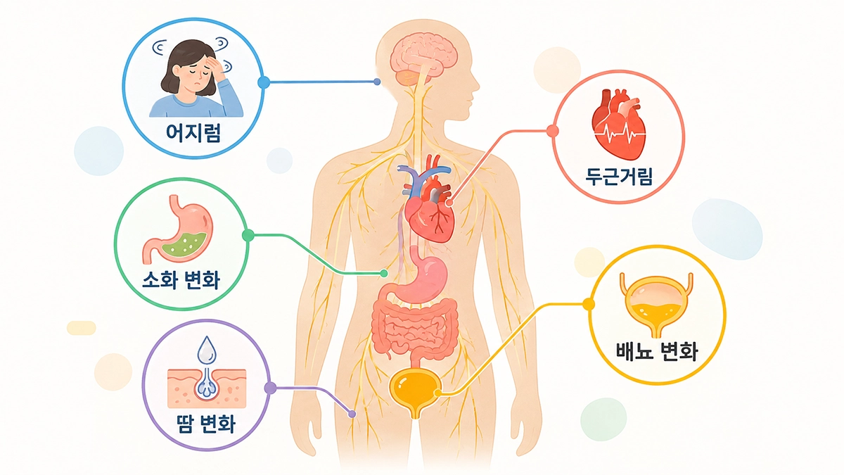 자율신경 실조증에서 나타날 수 있는 어지럼, 두근거림, 소화와 배뇨 변화 인포그래픽