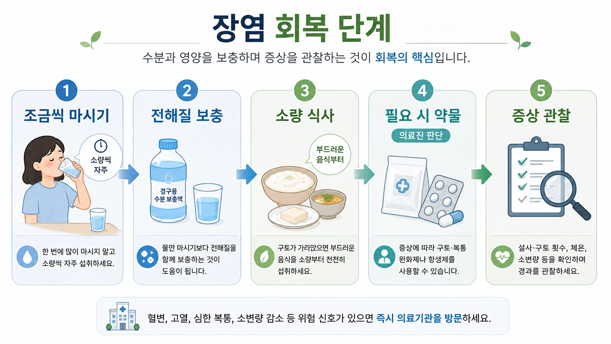 장염 증상 회복을 위한 수분 보충과 식사 및 치료 단계