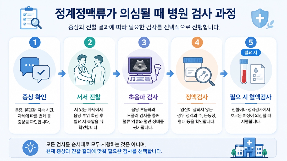 정계정맥류 진단 과정과 신체 진찰, 초음파, 정액검사 순서