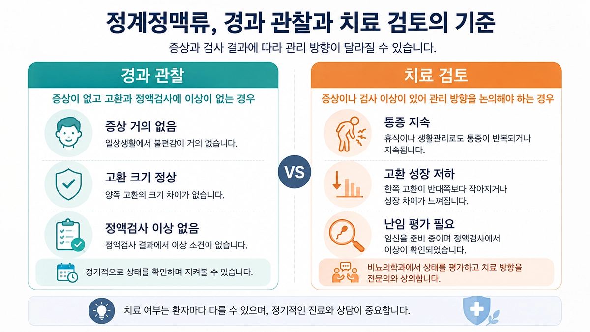 정계정맥류 경과 관찰과 치료를 검토하는 경우 비교