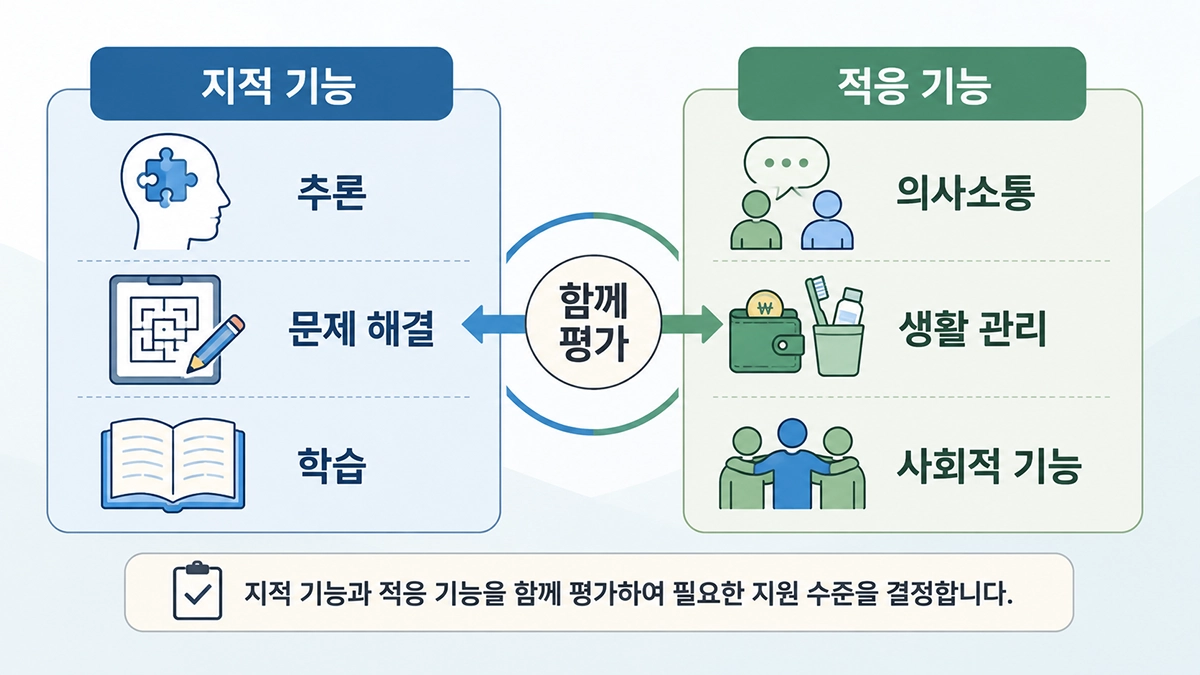 지적 장애 진단에서 지적 기능과 적응 기능을 함께 평가하는 내용을 비교한 인포그래픽