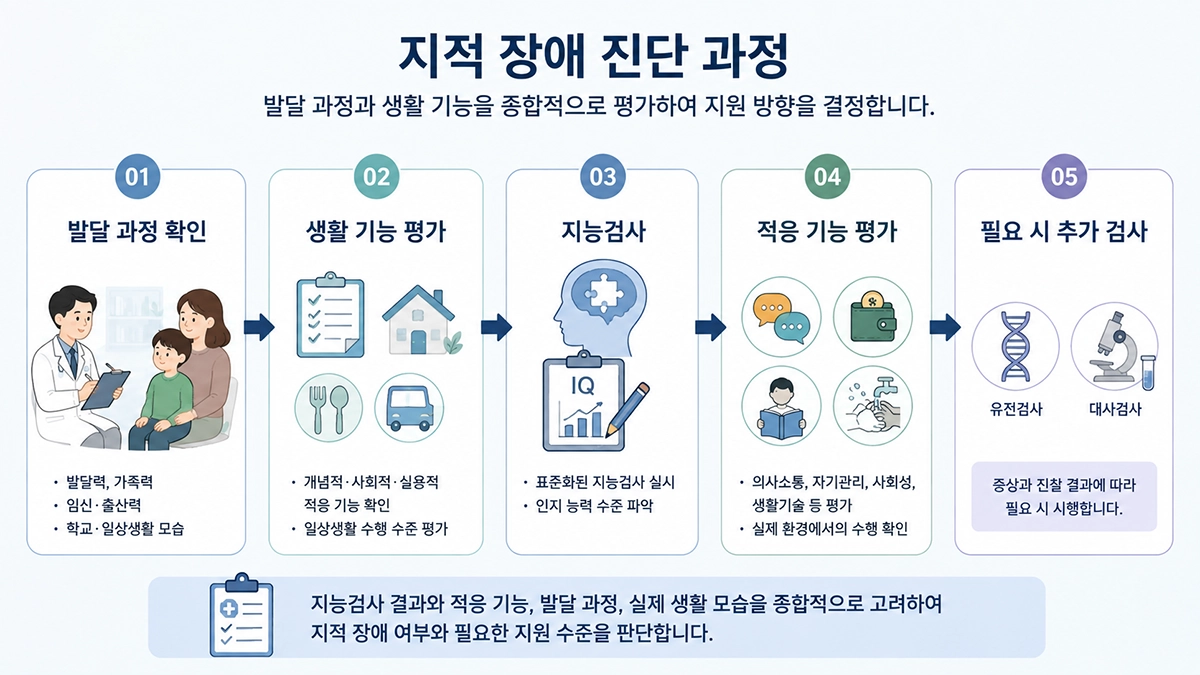 지적 장애 진단 과정에서 발달 과정, 지능검사, 적응 기능 평가와 추가 검사를 확인하는 단계형 인포그래픽