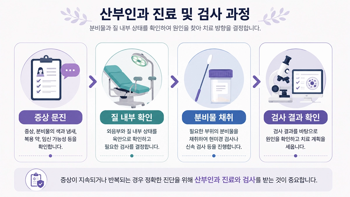질염 증상 진료 시 문진과 질 분비물 검사 과정을 보여주는 단계형 인포그래픽