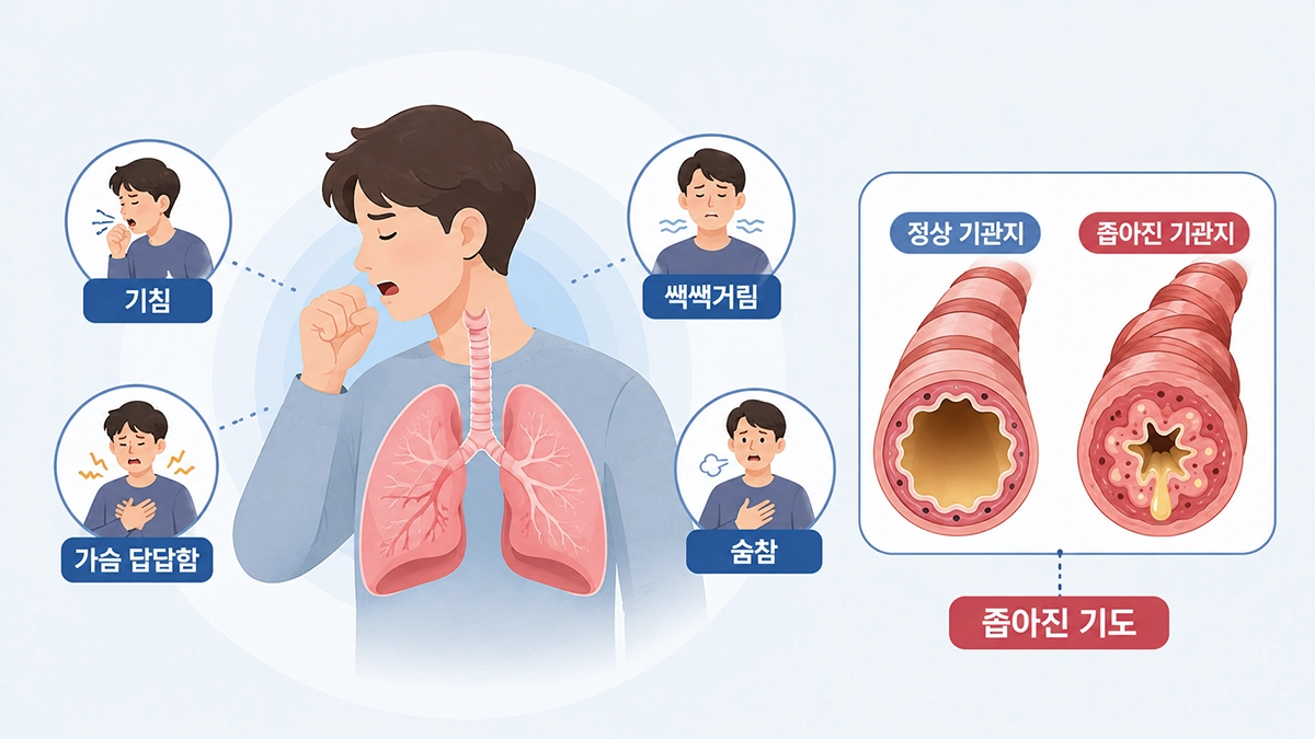 천식으로 기관지가 좁아지면서 기침과 쌕쌕거림, 숨참이 나타나는 모습