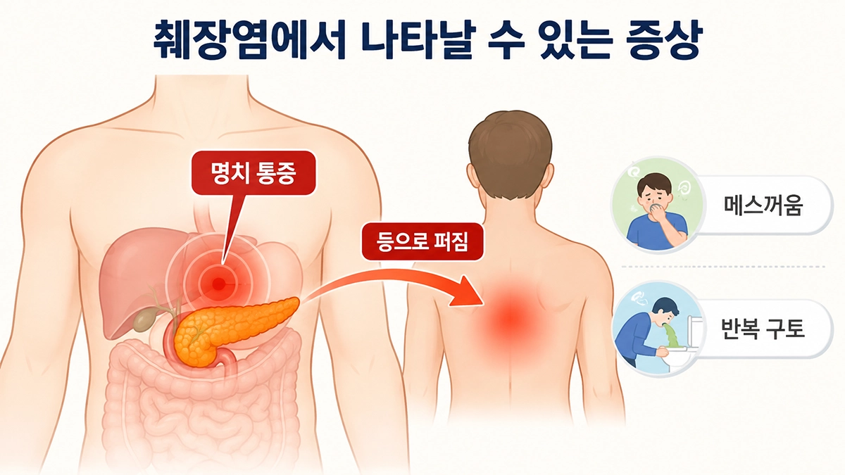 췌장염에서 나타날 수 있는 명치 통증과 등으로 퍼지는 통증 위치