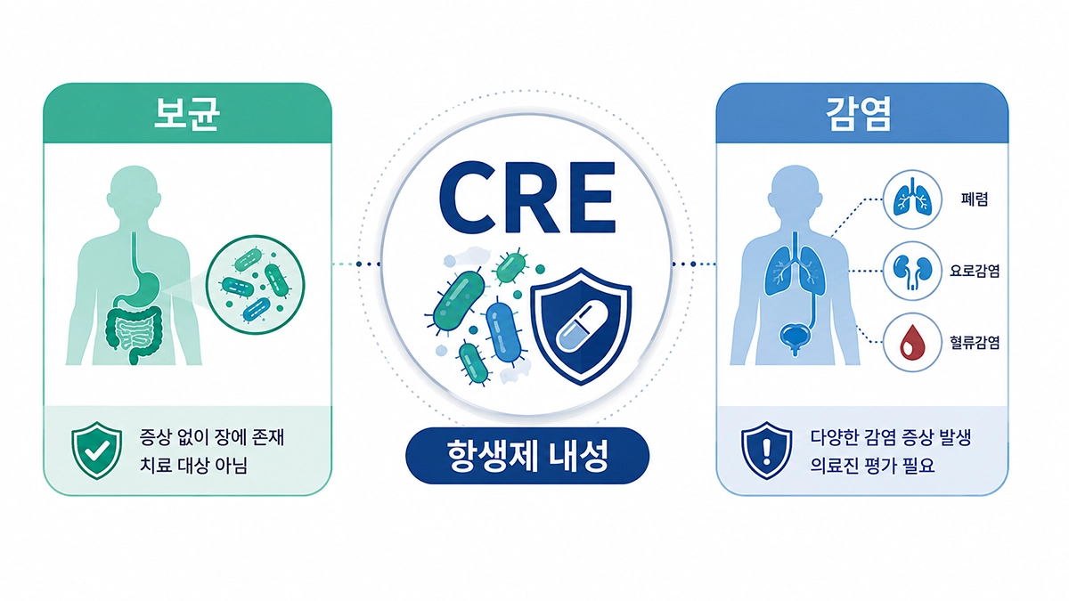 카바페넴 내성 장내세균의 보균과 감염 차이를 보여주는 CRE 인포그래픽