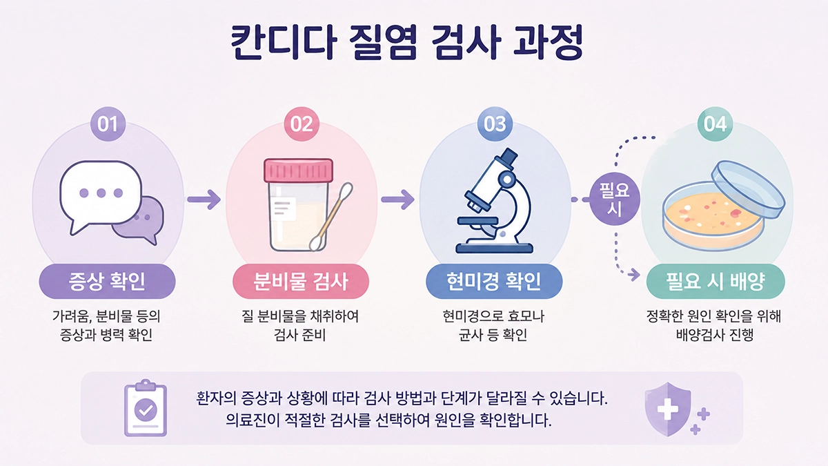 칸디다 질염에서 증상 확인과 분비물 검사, 현미경 확인 및 필요 시 배양검사로 이어지는 검사 과정