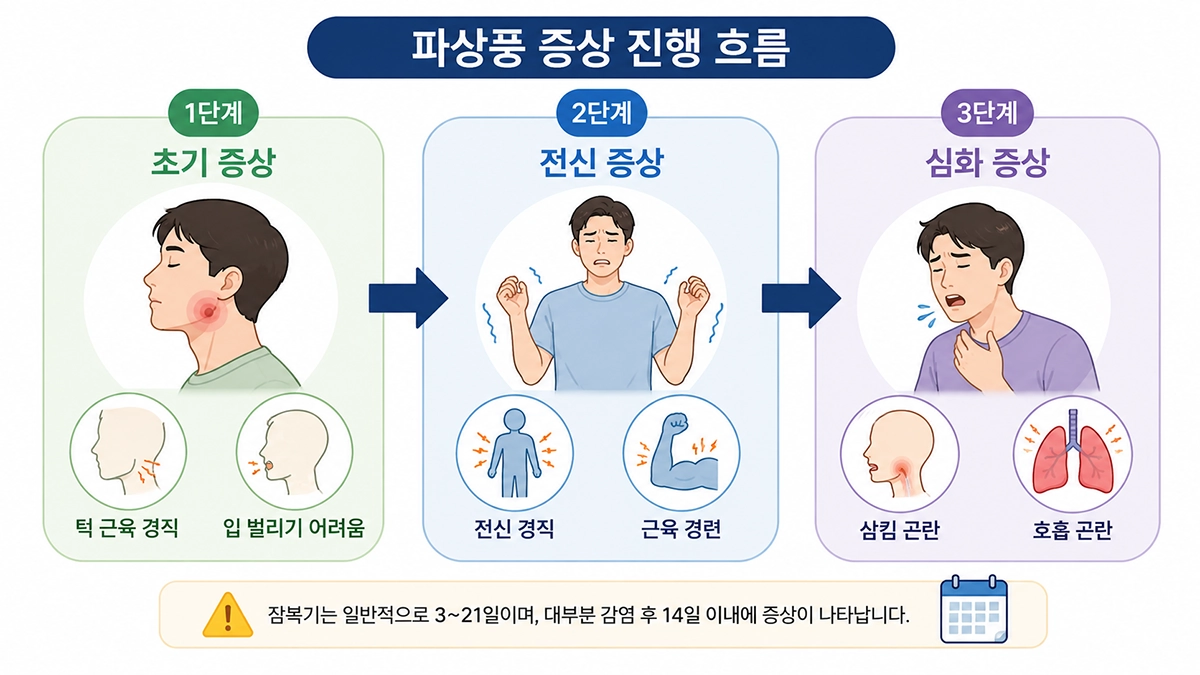 파상풍 초기 증상부터 전신 근육 경직과 호흡 곤란까지의 증상 진행 인포그래픽