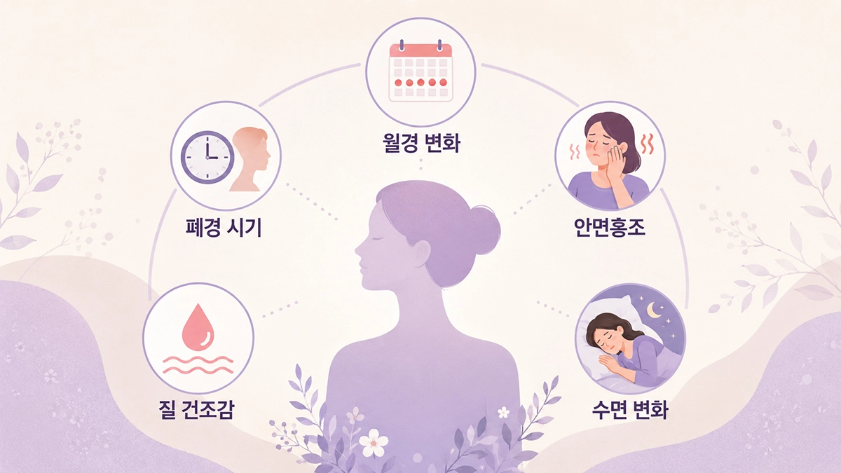 폐경 시 나타날 수 있는 월경 변화와 안면홍조, 수면 변화, 질 건조감을 정리한 인포그래픽