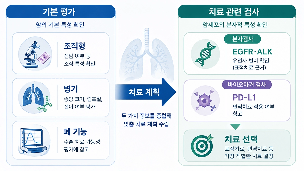 폐선암 치료 선택에 활용되는 분자검사와 PD-L1 바이오마커 검사의 차이를 보여주는 인포그래픽