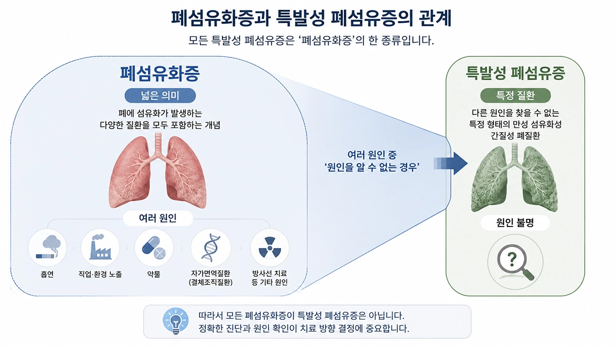 폐섬유화증의 넓은 개념과 특정 질환인 특발성 폐섬유증의 차이를 비교한 그림