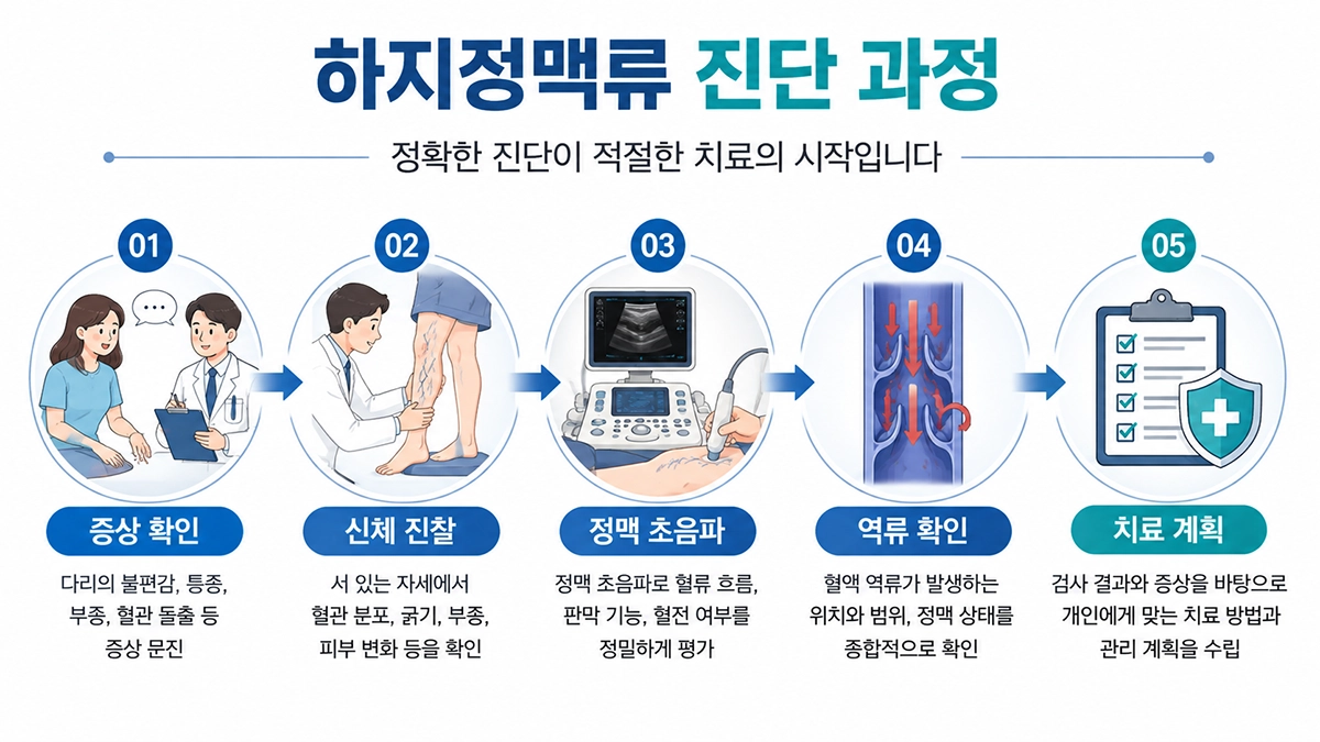하지정맥류 진료에서 증상 확인과 신체 진찰, 정맥 초음파 검사로 이어지는 과정