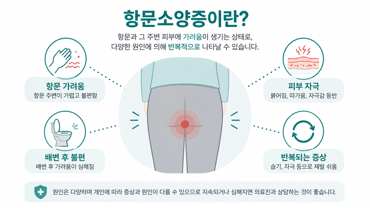 항문소양증에서 나타날 수 있는 항문 가려움과 피부 자극을 설명한 의료 인포그래픽
