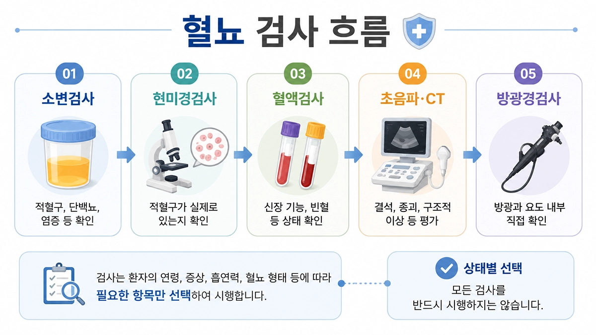 혈뇨 원인을 확인하는 소변검사와 혈액검사, 영상검사, 방광경검사 과정