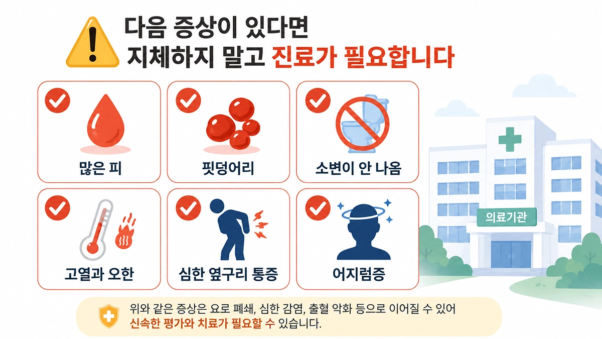 혈뇨와 함께 나타날 때 신속한 진료가 필요한 증상을 정리한 체크리스트
